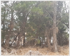  2018Ÿ4624 泲  ݿ 143-1       ð