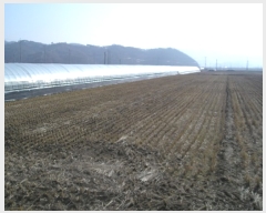  2018Ÿ��11246 �泲 ���ֽ� ��ǳ�� ������ 537-1      ����(��1)���