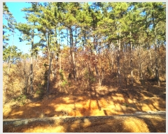  2018Ÿ��55386 �泲 �¾ȱ� �̿��� ���� 457-1      ����(�Ӿ�)���