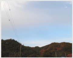  2018Ÿ54598 泲  ع̸ ۸ 40      (Ӿ)