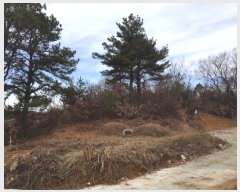  2018Ÿ��108698 ��� û���� ��õ�� ������ 1631      ����(��1)���