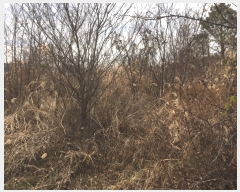  2018Ÿ��108698 ��� û���� ��õ�� ������ 1631      ����(��1)���