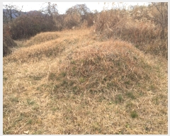  2018Ÿ��108698 ��� û���� ��õ�� ������ 1631      ����(��1)���