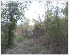  2018Ÿ��108698 ��� û���� ��õ�� ������ 1631      ����(��1)���