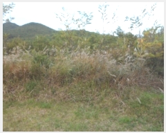  2018Ÿ��108698 ��� û���� ��õ�� ������ 1631      ����(��1)���