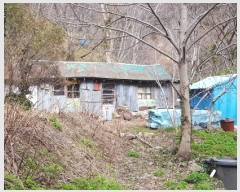  2018Ÿ34149  ︪ ︪  514-1      (Ӿ)