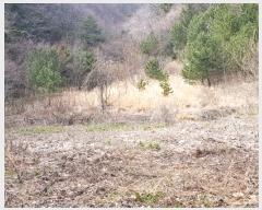  2018Ÿ34149  ︪ ︪  514-1      (Ӿ)