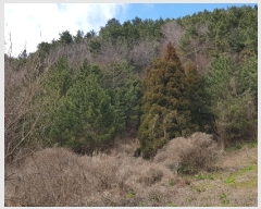  2018Ÿ34149  ︪ ︪  514-1      (Ӿ)