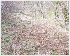  2018Ÿ34149  ︪ ︪  514-1      (Ӿ)