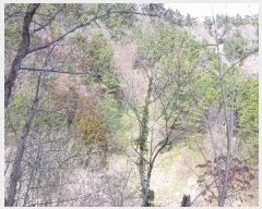  2018Ÿ34149  ︪ ︪  514-1      (Ӿ)