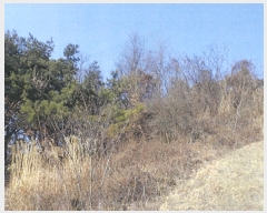  2018Ÿ35728  ɱ ٻ ۰ 427      (Ӿ)