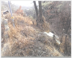  2018Ÿ35728  ɱ ٻ ۰ 427      (Ӿ)