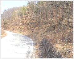  2018Ÿ35728  ɱ ٻ ۰ 427      (Ӿ)