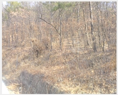  2018Ÿ35728  ɱ ٻ ۰ 427      (Ӿ)