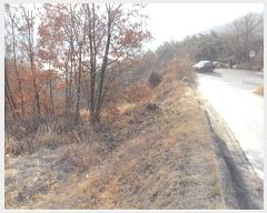  2018Ÿ35728  ɱ ٻ ۰ 427      (Ӿ)