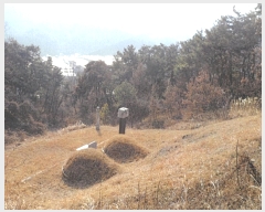  2018Ÿ35728  ɱ ٻ ۰ 427      (Ӿ)