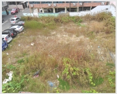  2018Ÿ��12591 ��� �߱� �ݱ��� 64-20       ����(����)���