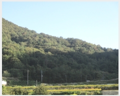  2018Ÿ��9663 �泲 ������ ���� ������ ��25-2      ����(�Ӿ�)���