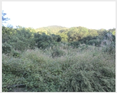  2018Ÿ��9663 �泲 ������ ���� ������ ��25-2      ����(�Ӿ�)���