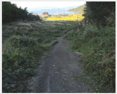  2018Ÿ��9663 �泲 ������ ���� ������ ��25-2      ����(�Ӿ�)���