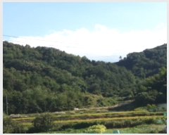  2018Ÿ��9663 �泲 ������ ���� ������ ��25-2      ����(�Ӿ�)���