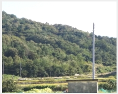  2018Ÿ��9663 �泲 ������ ���� ������ ��25-2      ����(�Ӿ�)���