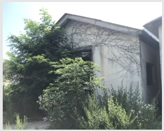  2018Ÿ14500  (Ӿ)