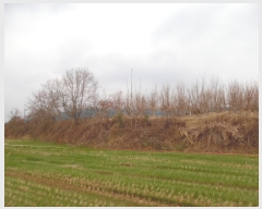  2018Ÿ��18151 ���� ���ֽ� ��õ�� ���̸� 716-7      ����(��)���