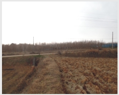  2018Ÿ��18151 ���� ���ֽ� ��õ�� ���̸� 716-7      ����(��)���