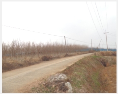  2018Ÿ��18151 ���� ���ֽ� ��õ�� ���̸� 716-7      ����(��)���