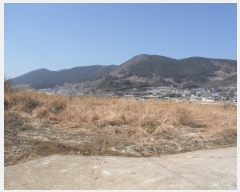  2018Ÿ1992  Ʈ