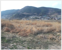  2018Ÿ1992  Ʈ