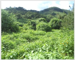  2018Ÿ8672    ġ 134-4      ()