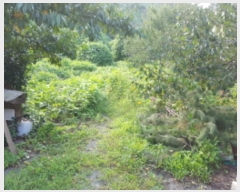  2018Ÿ8672    ġ 134-4      ()