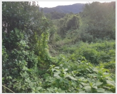  2018Ÿ8672    ġ 134-4      ()