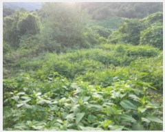  2018Ÿ8672    ġ 134-4      ()