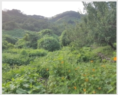  2018Ÿ8672    ġ 134-4      ()