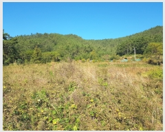  2018Ÿ��4314 ���� �ϵ��� ������ ȭ�� 789      ����(��)���