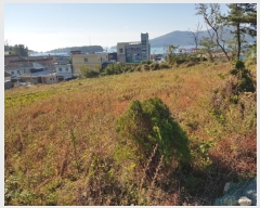  2018Ÿ��4314 ���� �ϵ��� ������ ȭ�� 789      ����(��)���