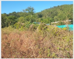  2018Ÿ��4314 ���� �ϵ��� ������ ȭ�� 789      ����(��)���