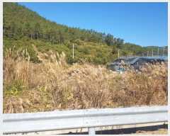  2018Ÿ��4314 ���� �ϵ��� ������ ȭ�� 789      ����(��)���