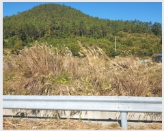  2018Ÿ��4314 ���� �ϵ��� ������ ȭ�� 789      ����(��)���