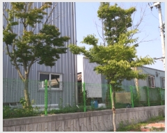  2018Ÿ5640    ΰŸ 1559-3      