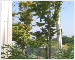  2018Ÿ5640    ΰŸ 1559-3      