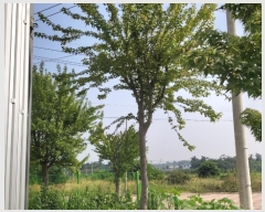  2018Ÿ5640    ΰŸ 1559-3      