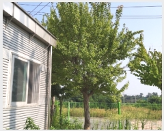  2018Ÿ5640    ΰŸ 1559-3      