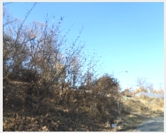  2018Ÿ3867   ϻ굿  76      (Ӿ)