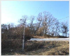  2018Ÿ3867   ϻ굿  76      (Ӿ)