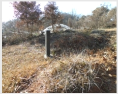  2018Ÿ3867   ϻ굿  76      (Ӿ)