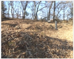  2018Ÿ3867   ϻ굿  76      (Ӿ)